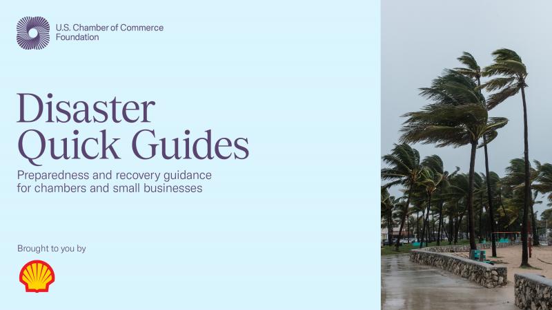 Disaster Quick Guides