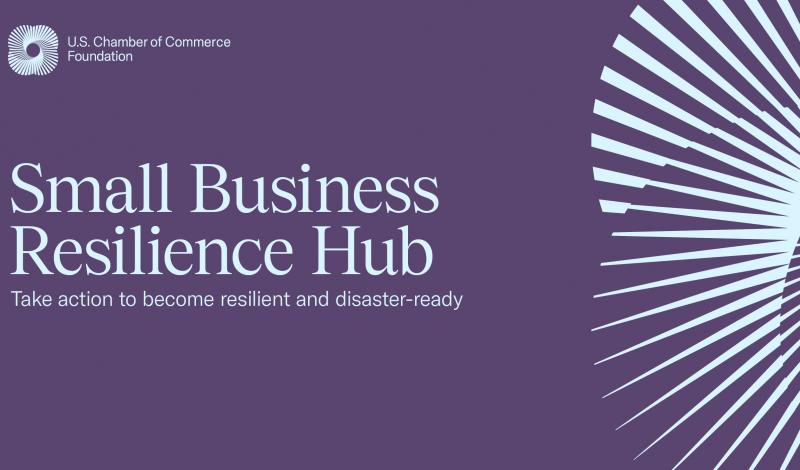 Small Business Resilience Hub
